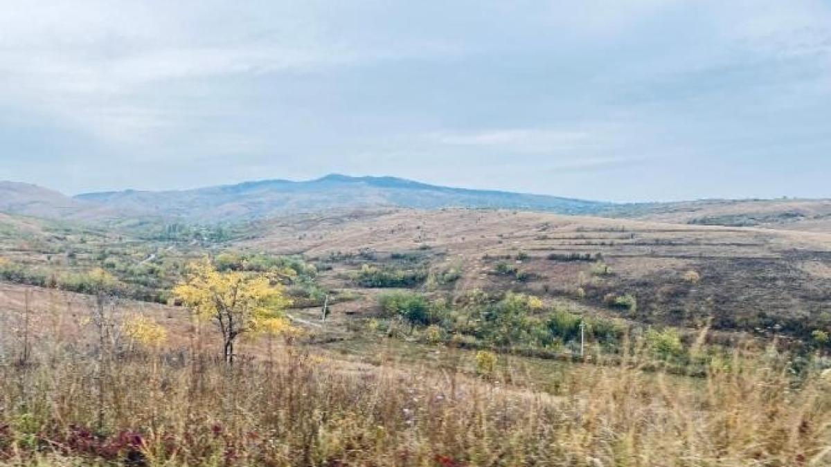 romania-naieni_76162800