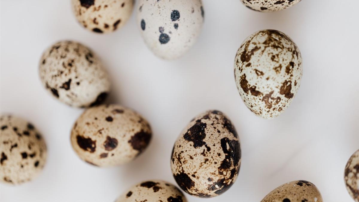 cate-oua-de-prepelita-poti-manca-pe-zi_03235700