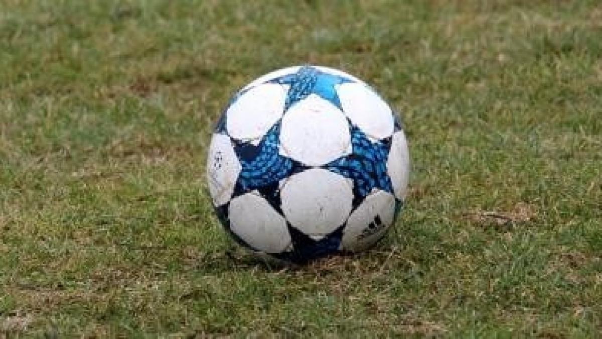 liga-campionilor_fotbal_lucescu_koeman_pxb_18676200