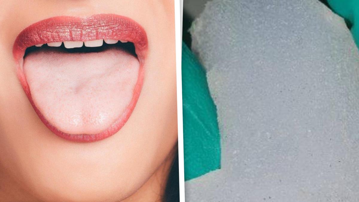 limba-din-polimer_42801500