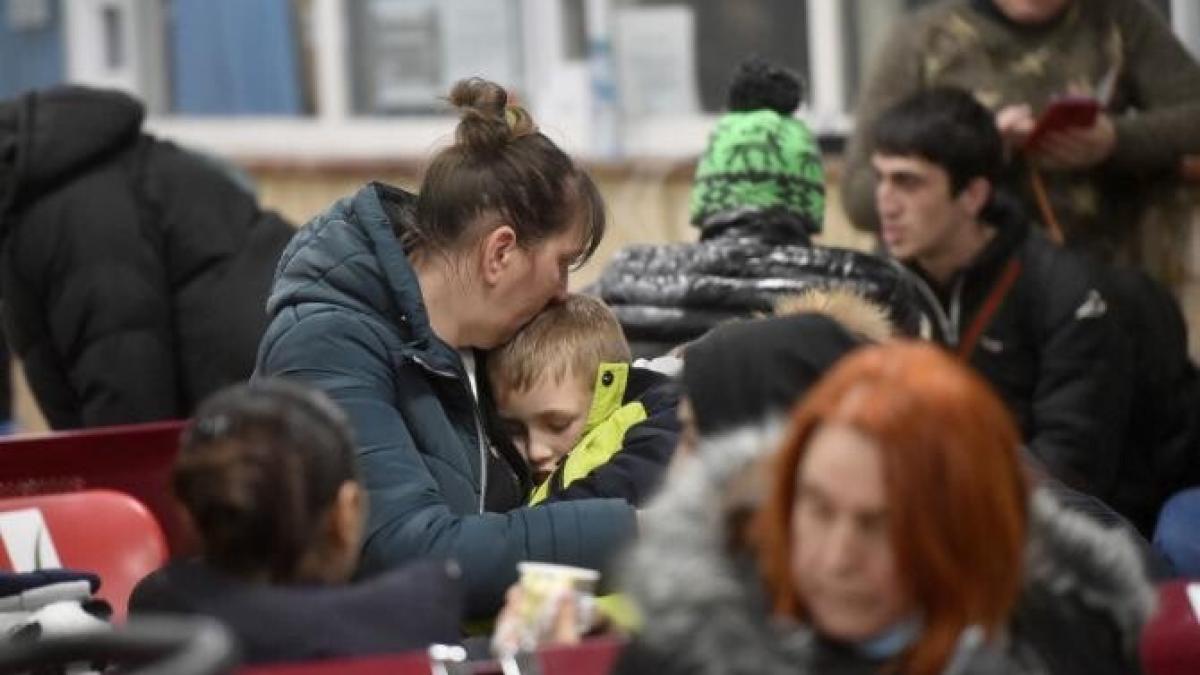 refugiati-ucraina-daniel-cristea-enache_81044900