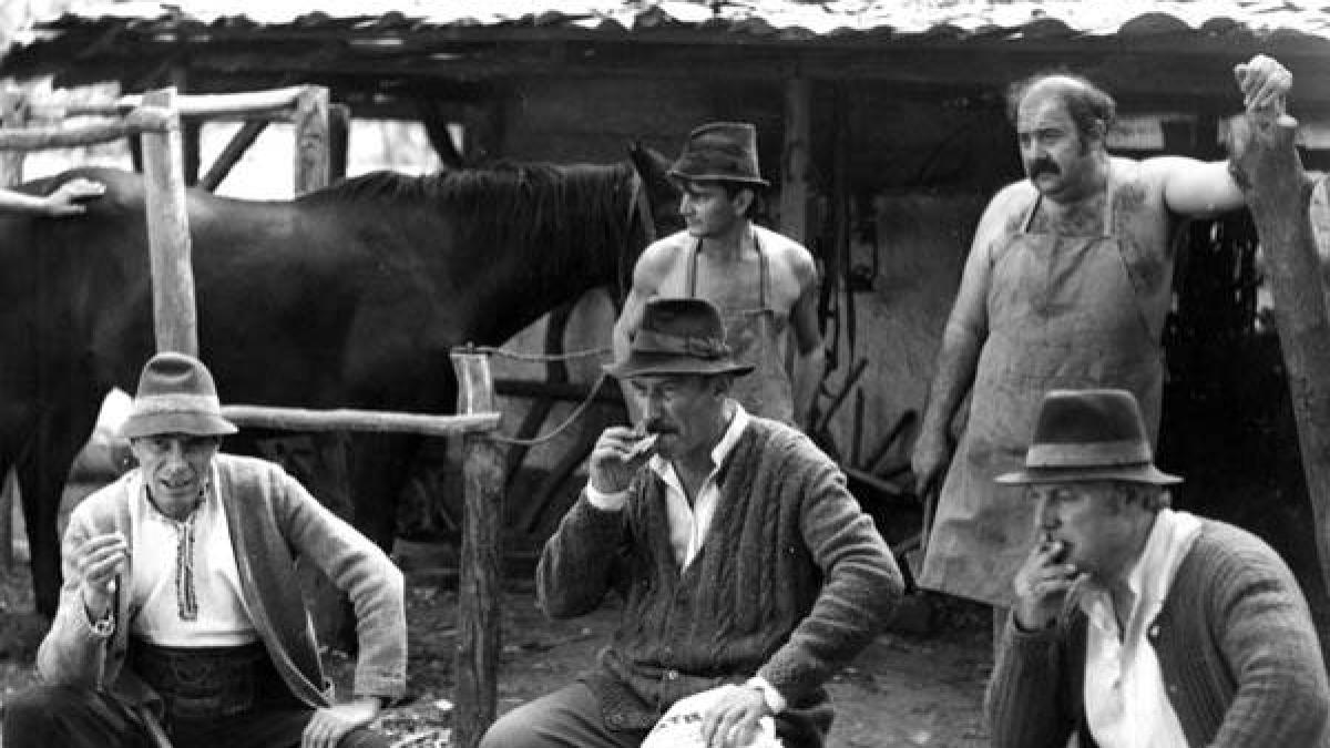 12191015_927596660649966_4344142497058940747_n_23452000