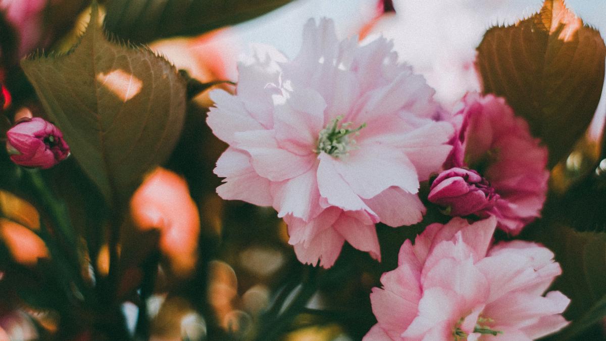 calendar-crestin-ortodox--sarbatoare-16-martie-2022_62090000