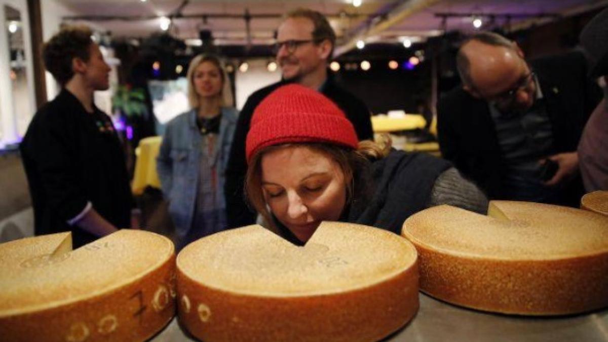 branza-reactioneaza-la-muzica_04080900