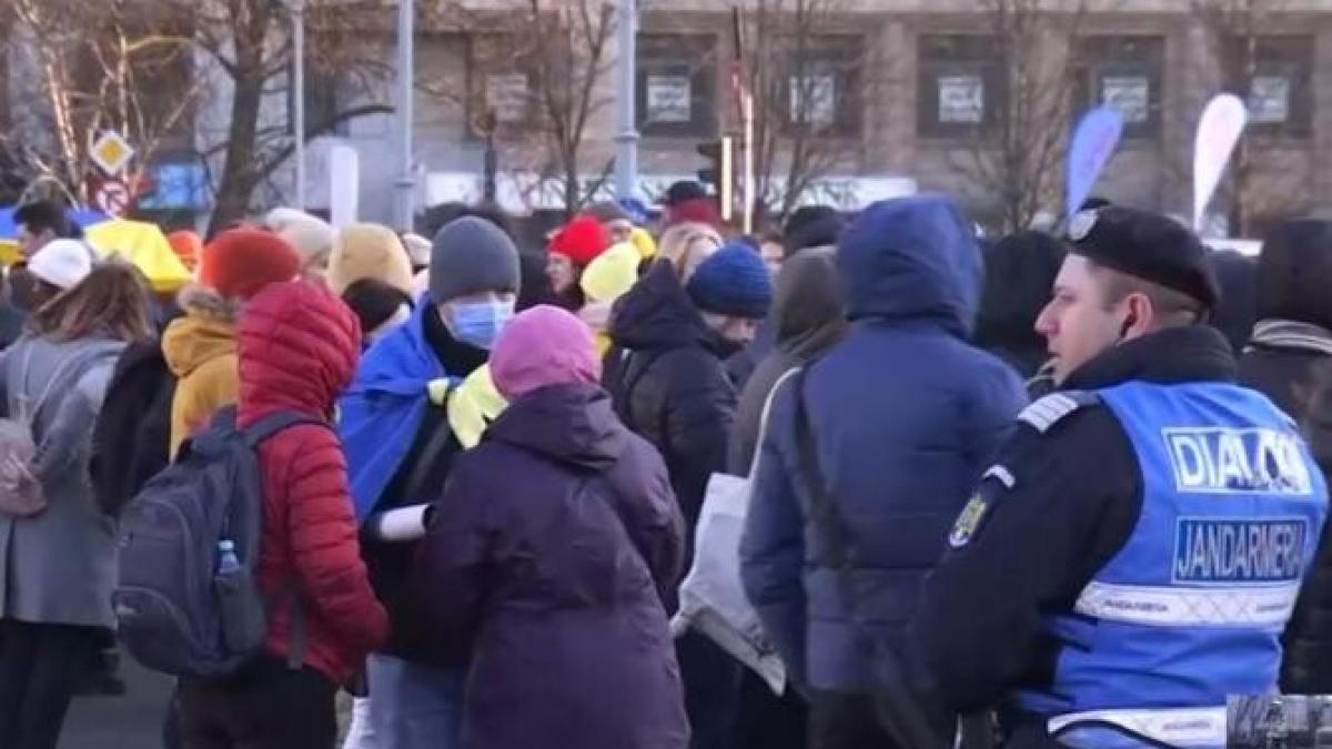 protest_19_martie_64772900