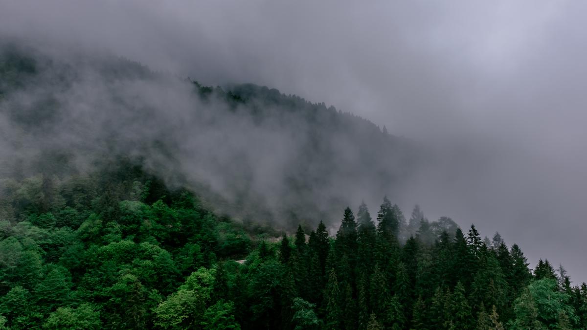 mateescu--despre-norul-toxic-din-ucraina-care-ar-fi-ajuns-in-romania-nu-exista-o-legatura_28091800