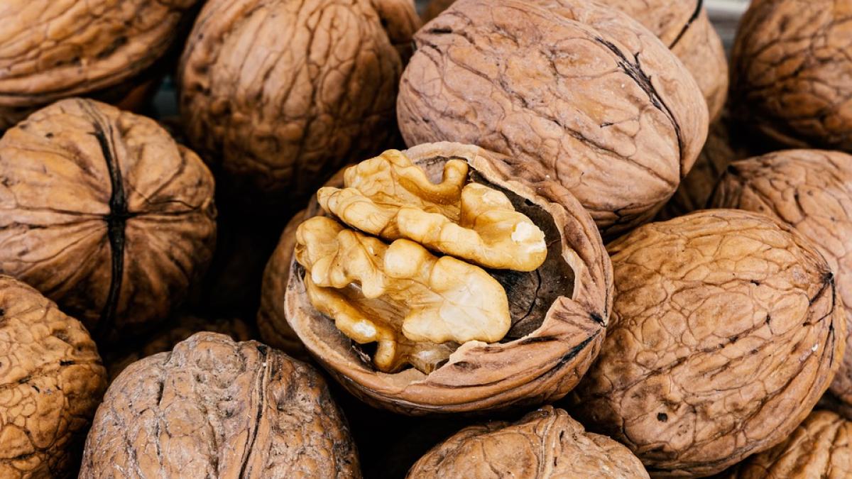 miez-de-nuca_91013200