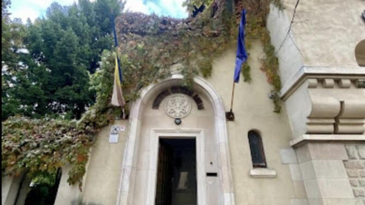 icr-foto-google-recenzii_47146400