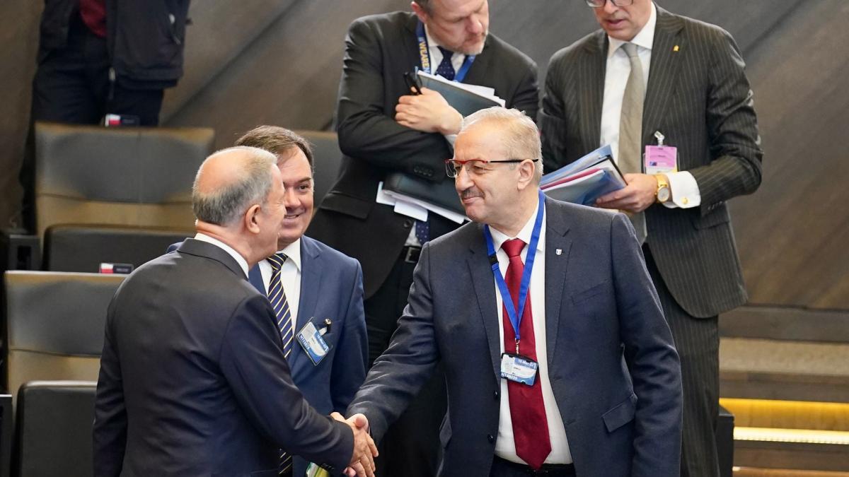 vasile-dincu-mobilizare-armata-romania_27197300