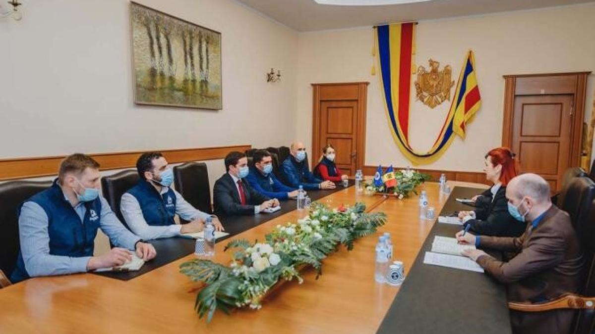 interpol-rmold_03338900