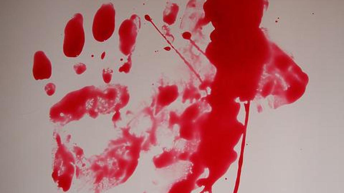 crima-voluntari_15204400