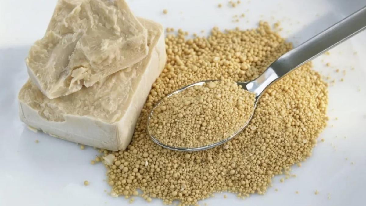 drojdia-de-bere-pentru-plamani_47087400