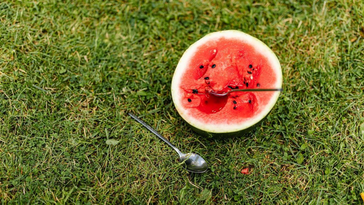 pexels-karolina-grabowska-4965565_55768800