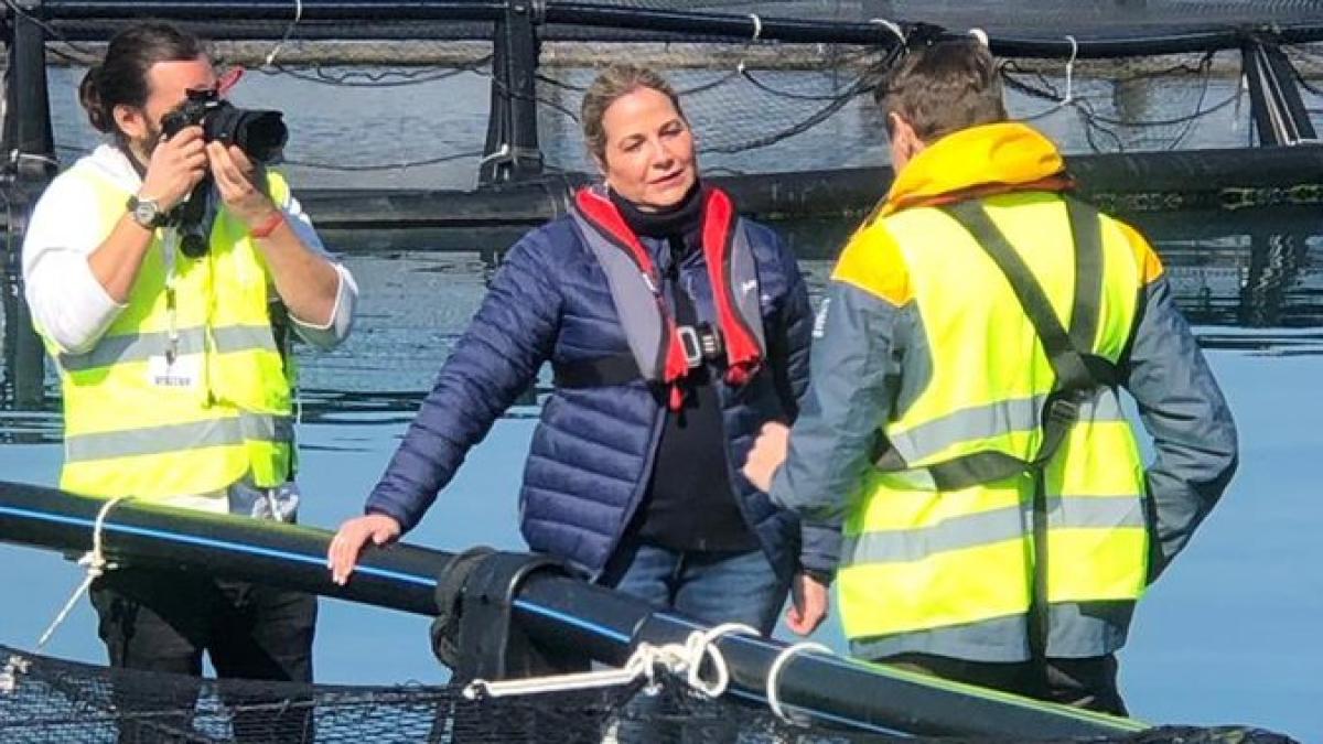 fn4hyxywyaexyzl_26409700