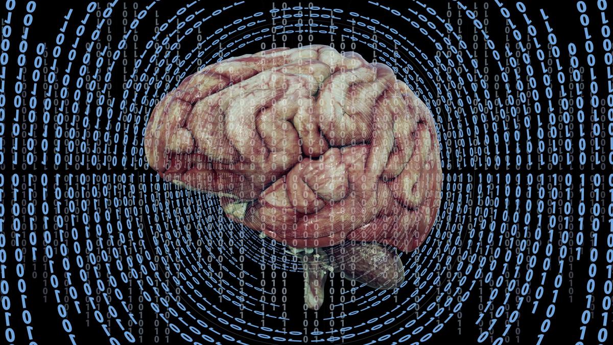 creier-memorie_70340900