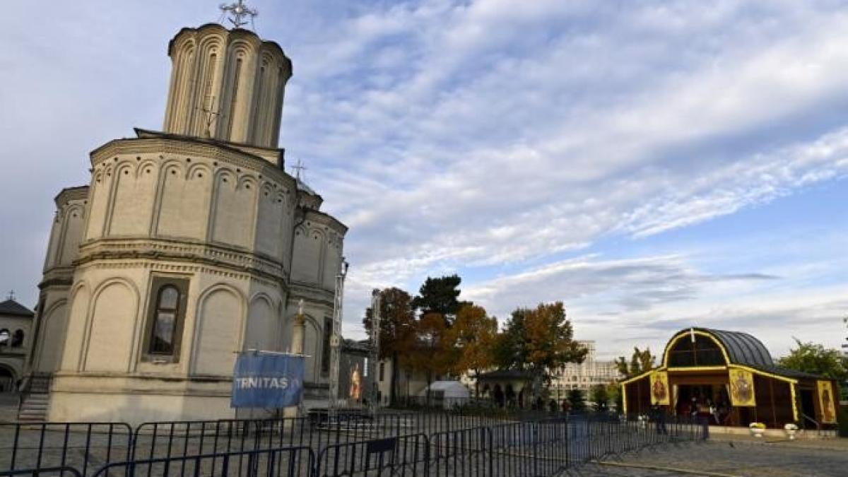 ajutor-umanitar-bor_93554500