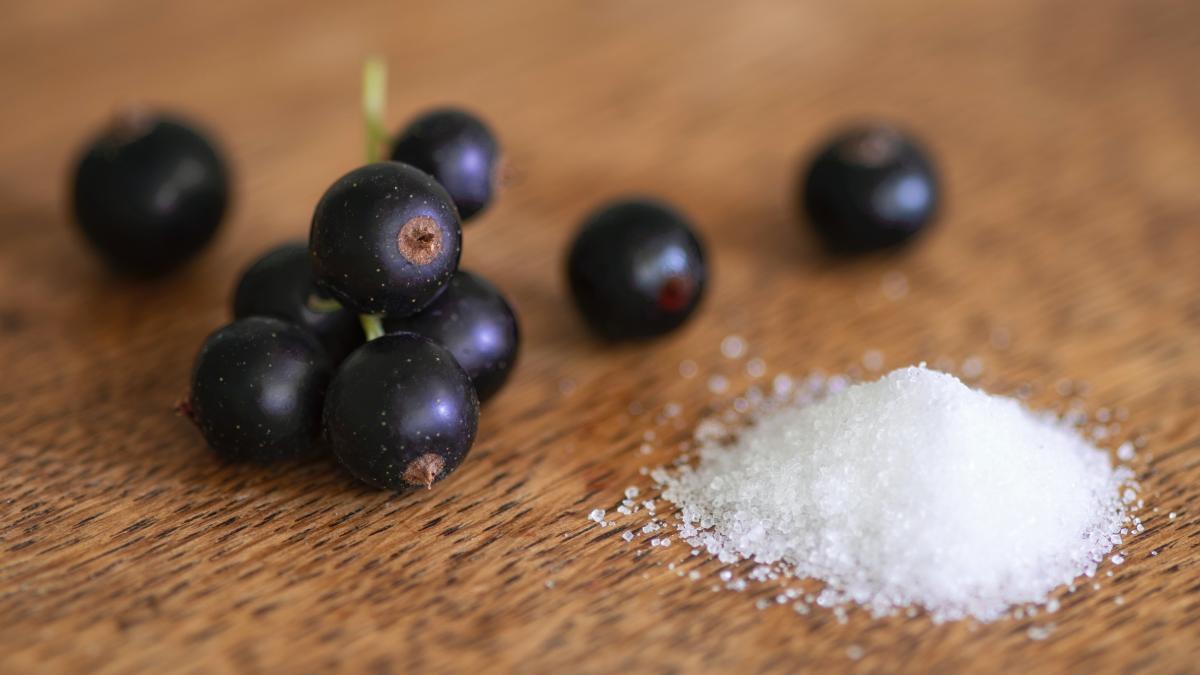 ceai-de-coacaze-negre_46397800