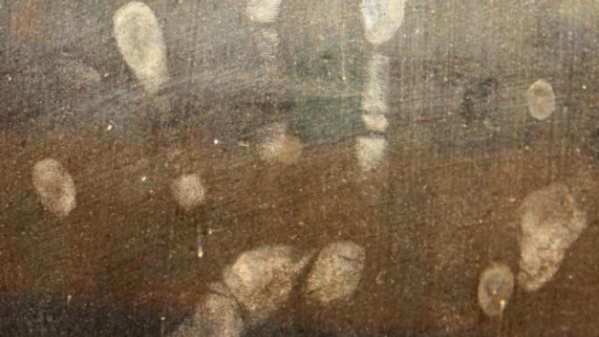 femei-ucise-in-casa-la-poiana-botosani-pxhere_03469500