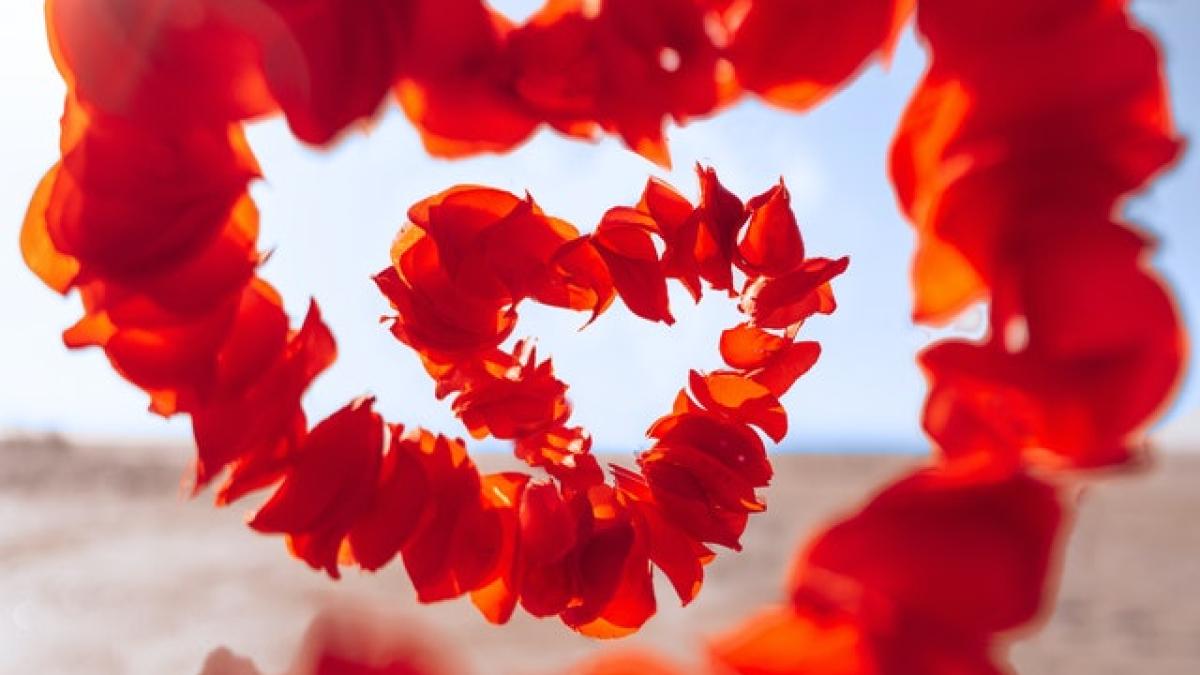 venus-in-pesti-din-5-aprilie_55570900