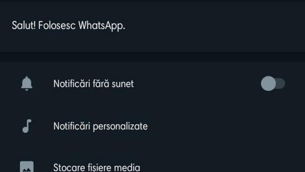 politia_romana_inselatorie_whatsapp_fb_25153500