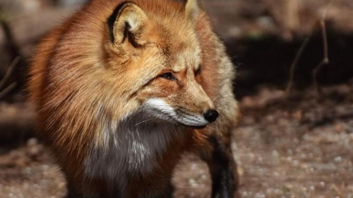 pexels-photo-7193043_22857100