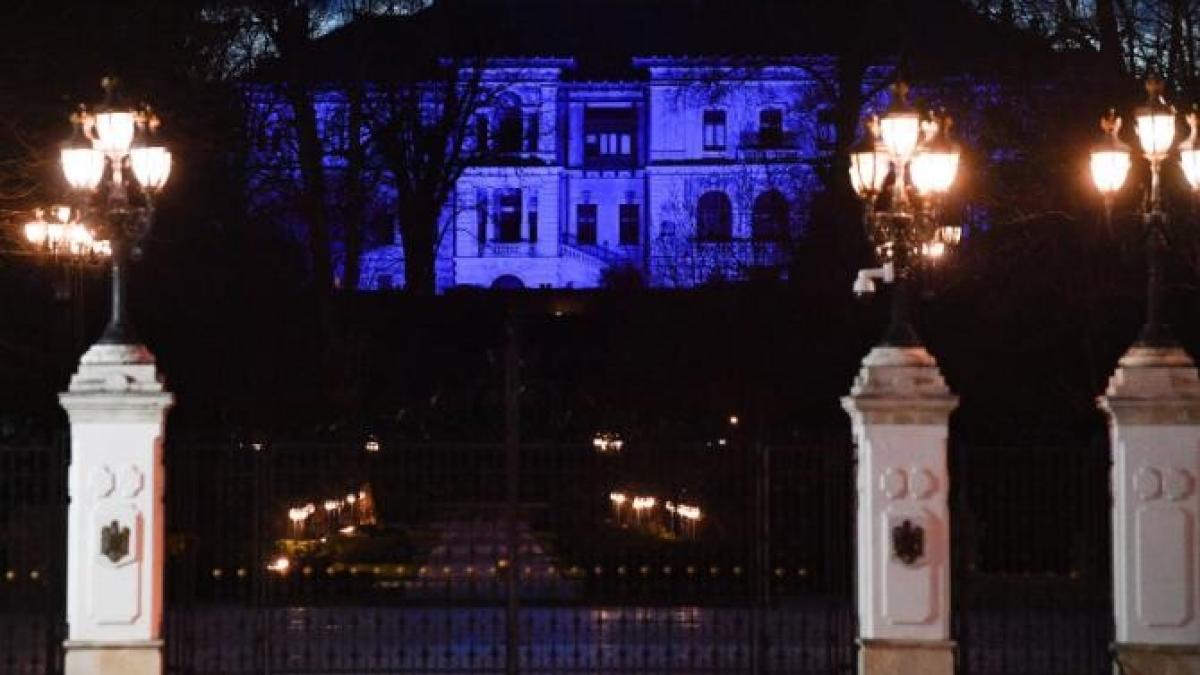 palatul-cotroceni-vandalizat_87298100