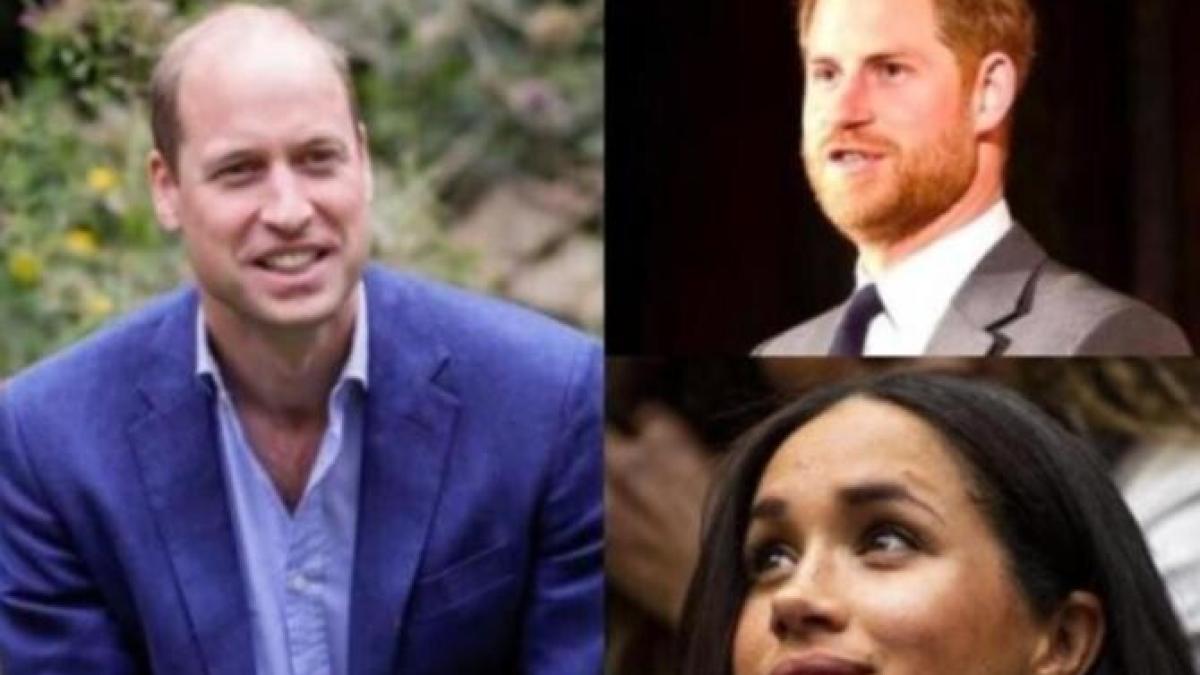 meghan-markle--dezamagita-de-printul-harry--sageata-dupa-gestul-printului-william_49408300