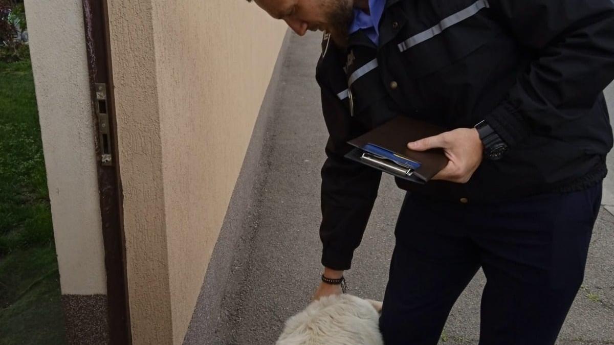 politia-locala_94885500