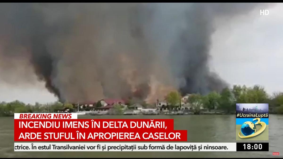 incendiu-delta-dunarii_25643800