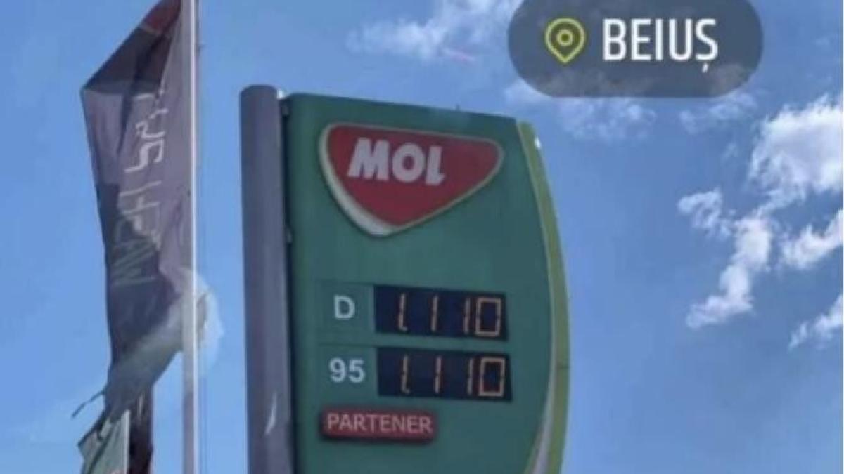 mol-beius-combustibil-11-lei_27224700