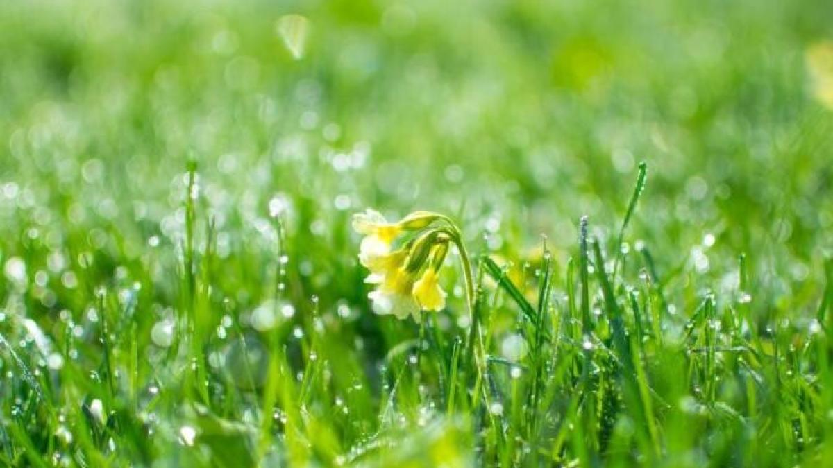 anm_vreme_aprilie_mai_foto_pexels_19067800