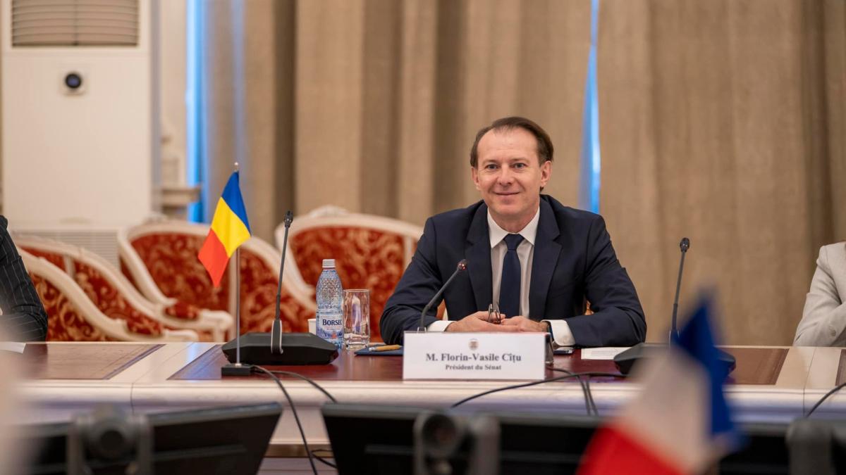 florin_citu_presedinte_pnl_senat_fb_50089900