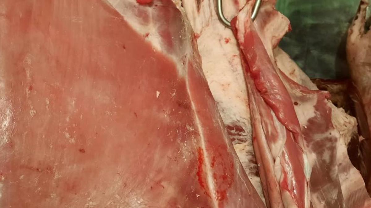 control-anpc-1_57399300