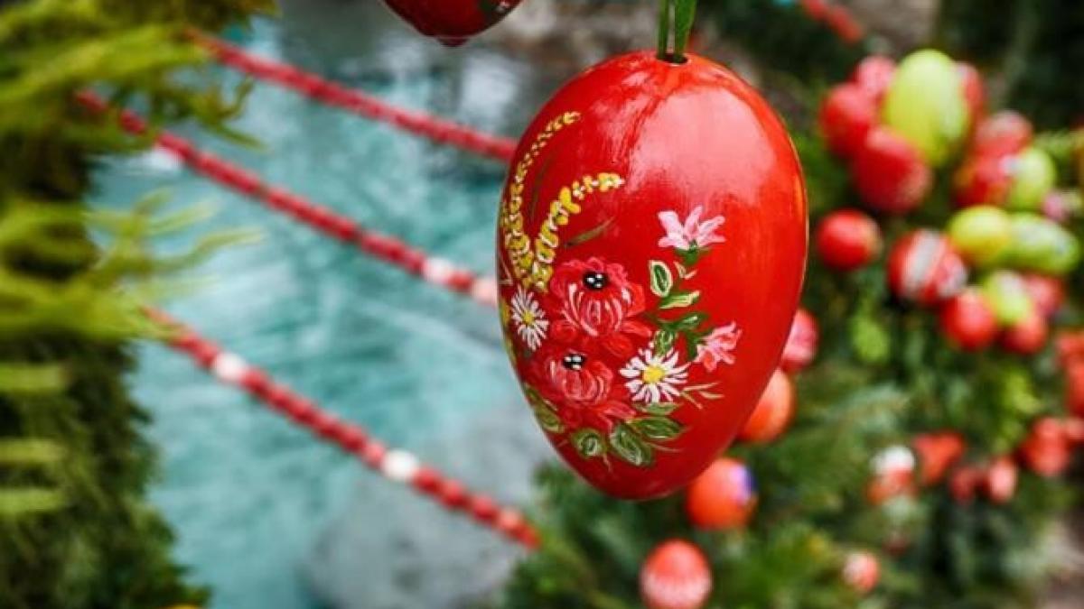 miercurea-mare-iulia-gorneanu_21584800