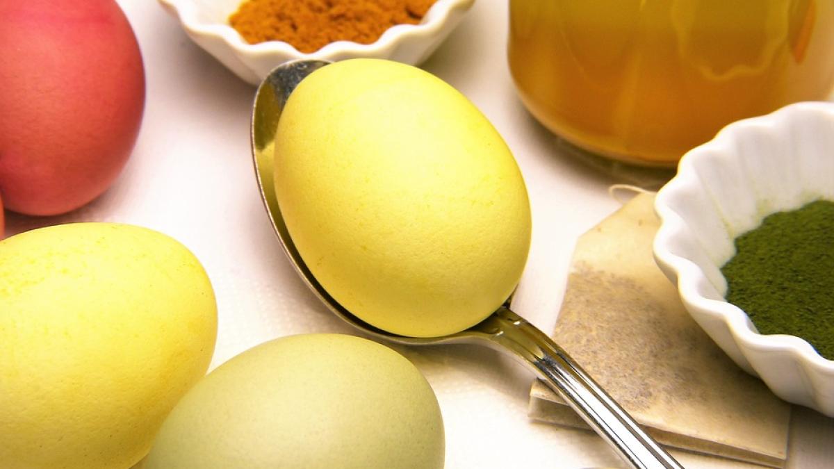 oua-fierte-cat-timp_75141800