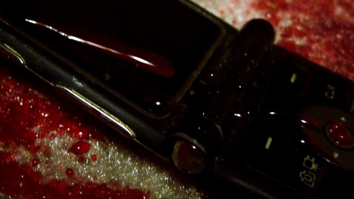 telefin-mobil-sange-disparuta_08346500