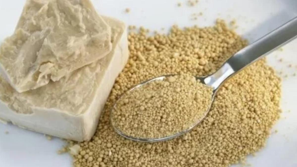 cura-cu-drojdie-de-bere_16812500