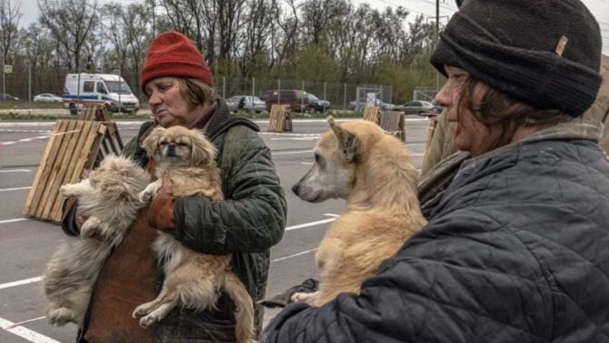 rusia-nu-a-stabilit-coridoare-umanitare-din-mariupol--acuza-ucrainenii_23803100