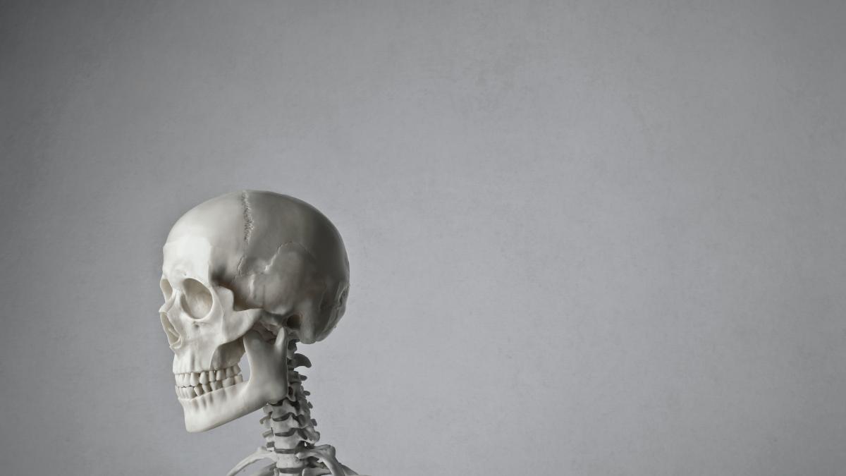 pexels-andrea-piacquadio-3764548_81730300