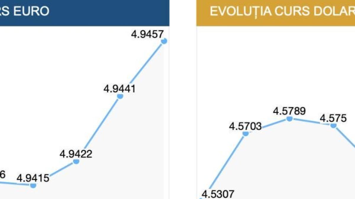 curs-leu-euro-dolar_88212300