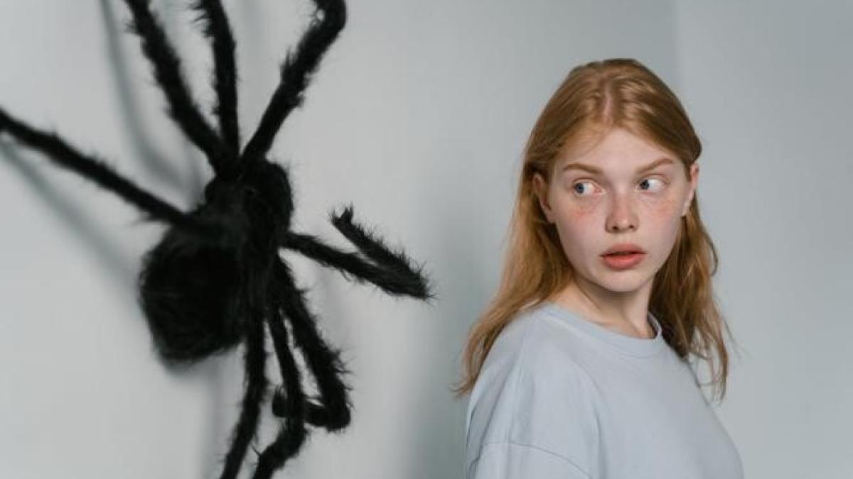 arahnofobie_10139400