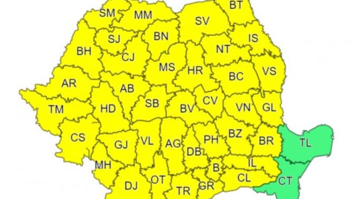 cod-galben-de-ploi_90997200