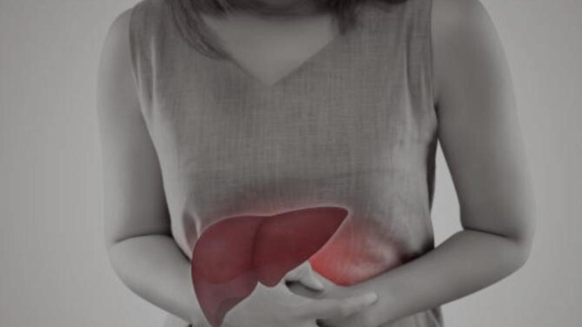 screenshot-2022-04-27-at-5-41-09-pm_78829700