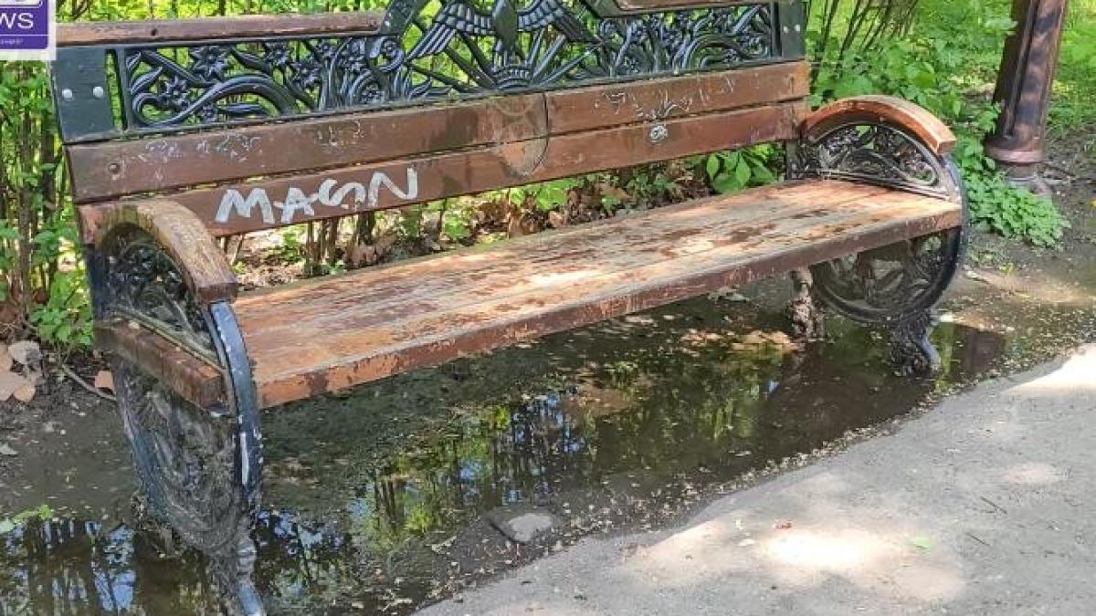 parcul_herastrau_stare_deplorabila-bucuresti_aprilie_2022_16524900