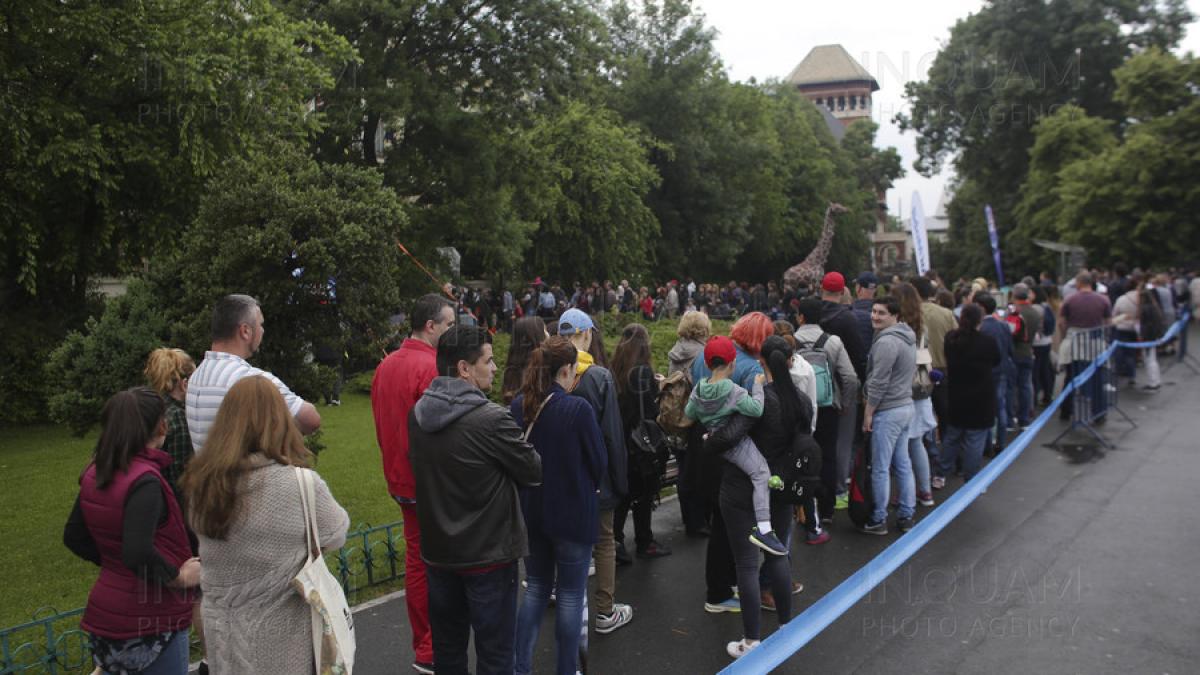 noaptea-muzeelor_96997000