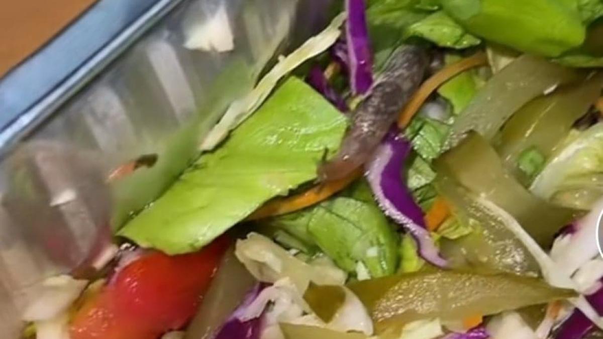 salata-vierme-melc_40259800