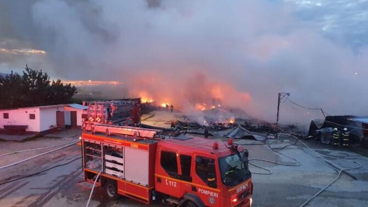 whatsapp-image-2022-04-29-at-20-57-54_57958600