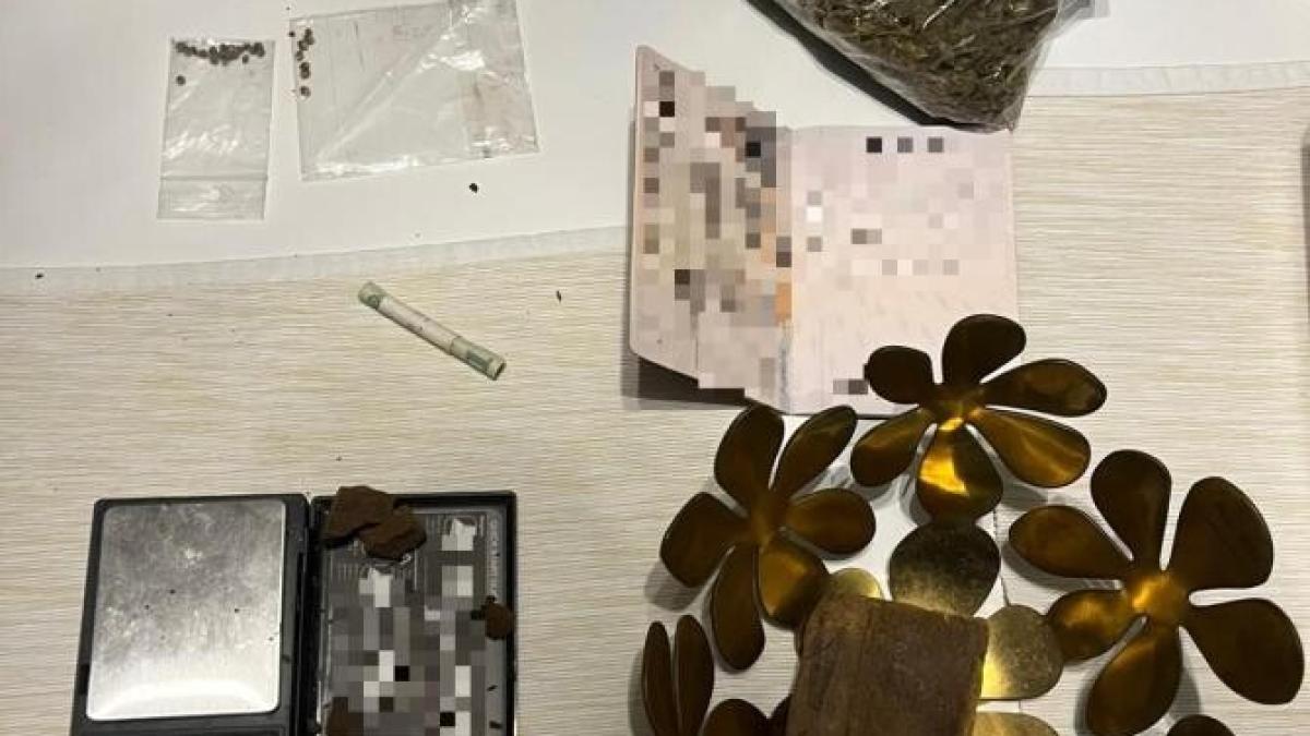 diicot_constant_17447100