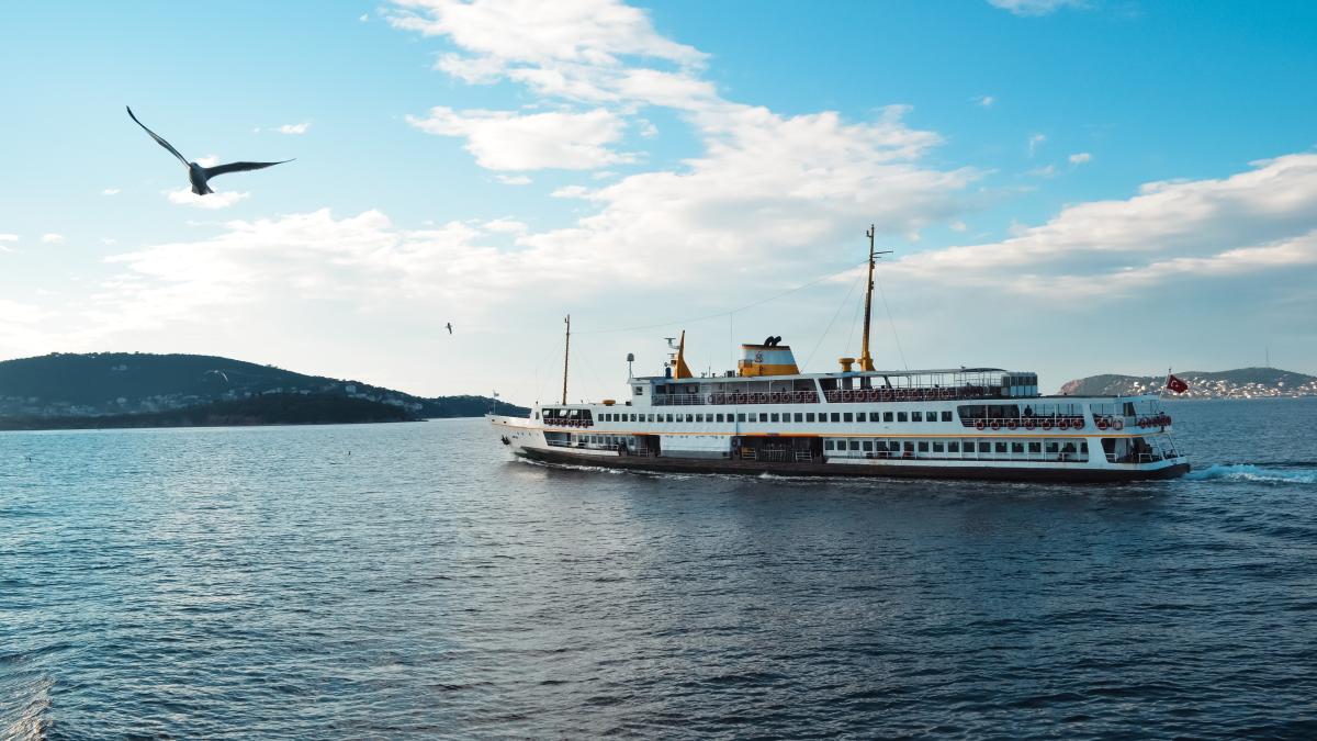 pexels-gaye-kirkin-10627561_06483200