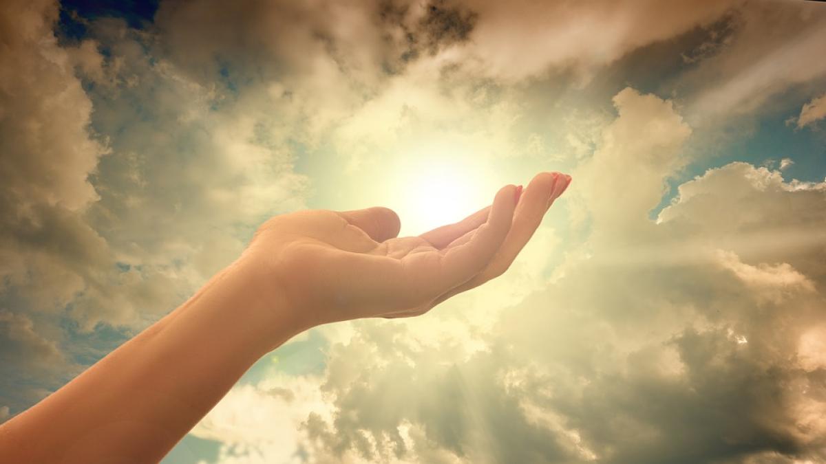 credinta-boli-vinerea-scumpa_97538000